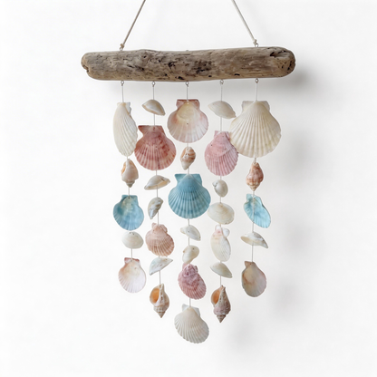 Gift-Ready | Natural Seashell Coastal Charm | Dreamy Ocean Décor